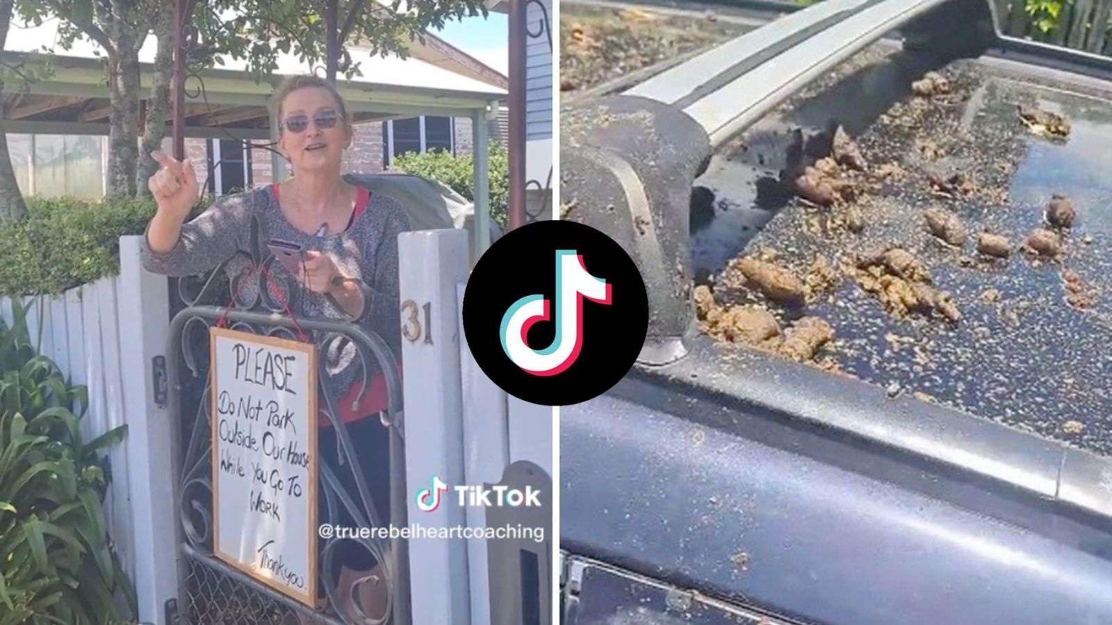 'Karen' throws poop and boiling water over car parked legally outside her house
