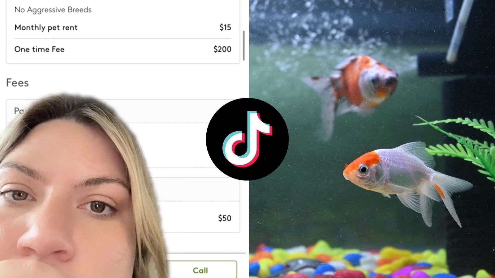 Woman stunned as landlord charges $200 fee and rent for pet fish