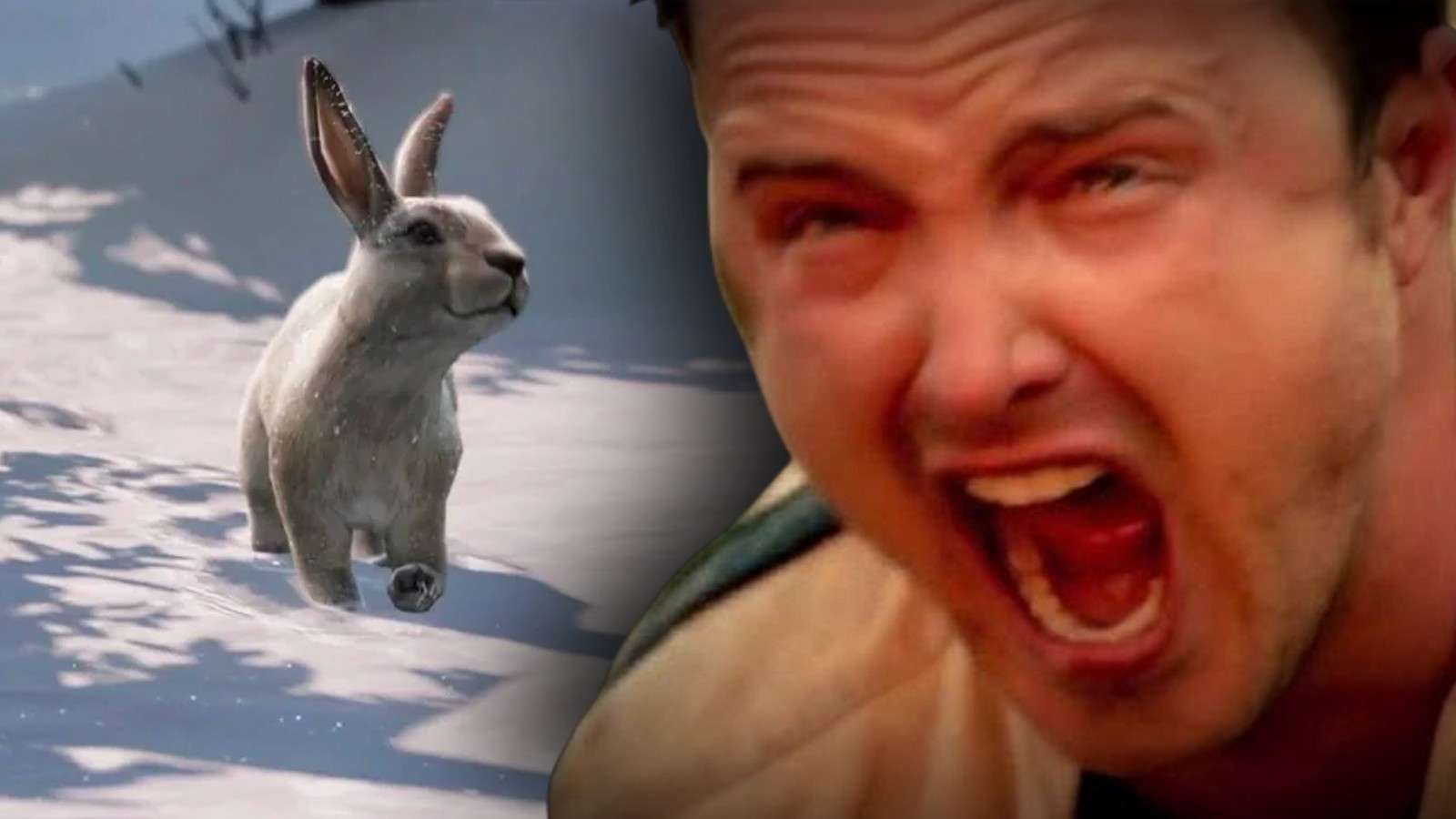 The rabbit meme scene from The Last of Us and Aaron Paul screaming