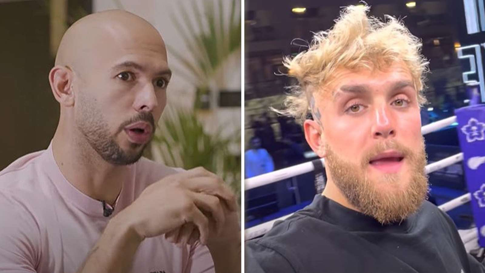 Andrew Tate has message for jake paul after tommy fury loss