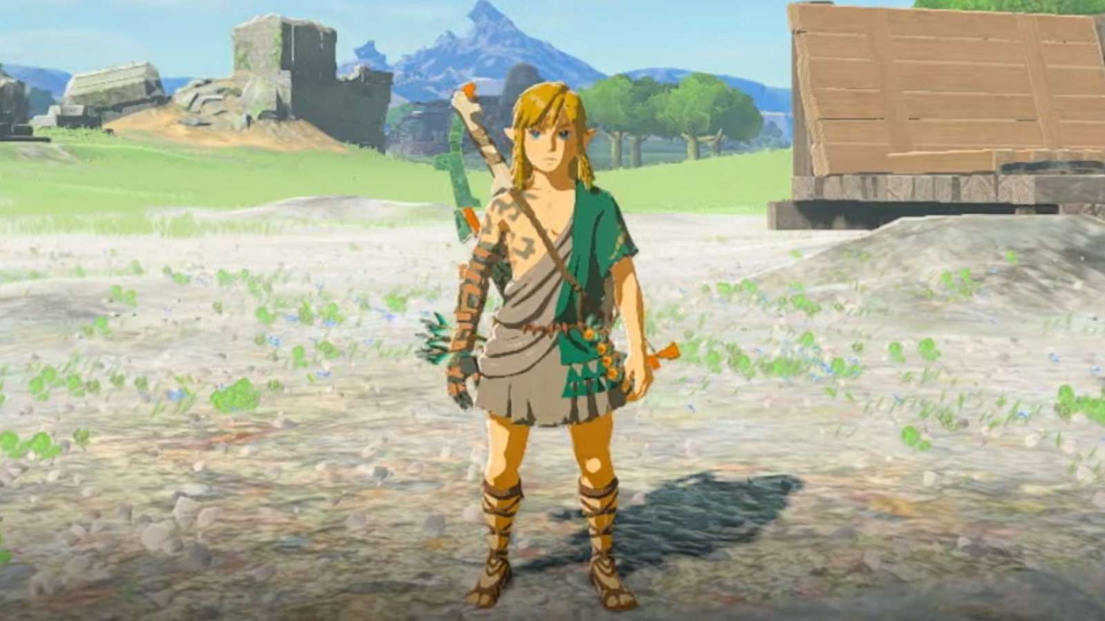 Link looking the screen in Legend of Zelda: Tears of the Kingdom