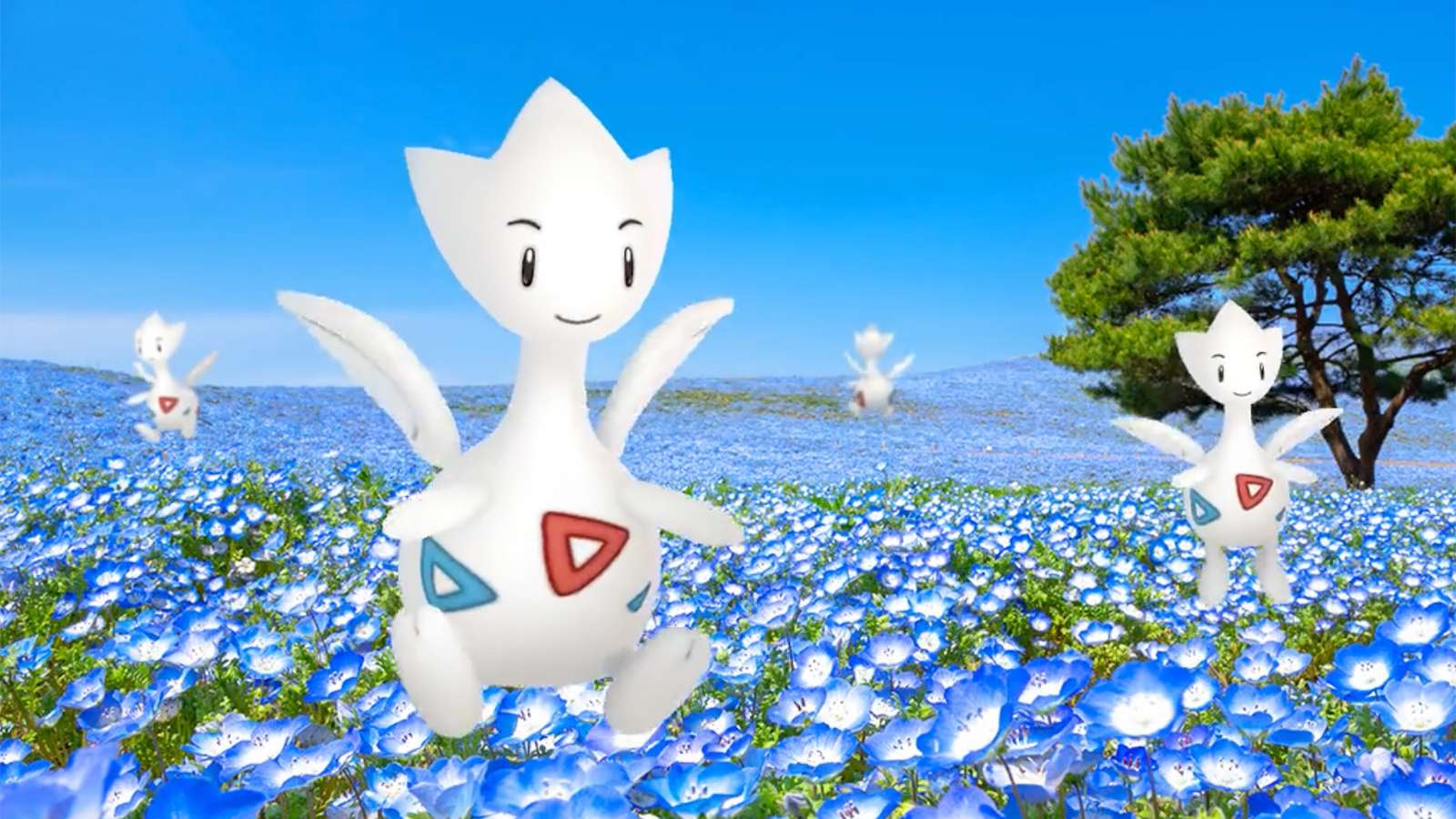 Togetic in the Pokemon Go Spreading Cheer Special Research story