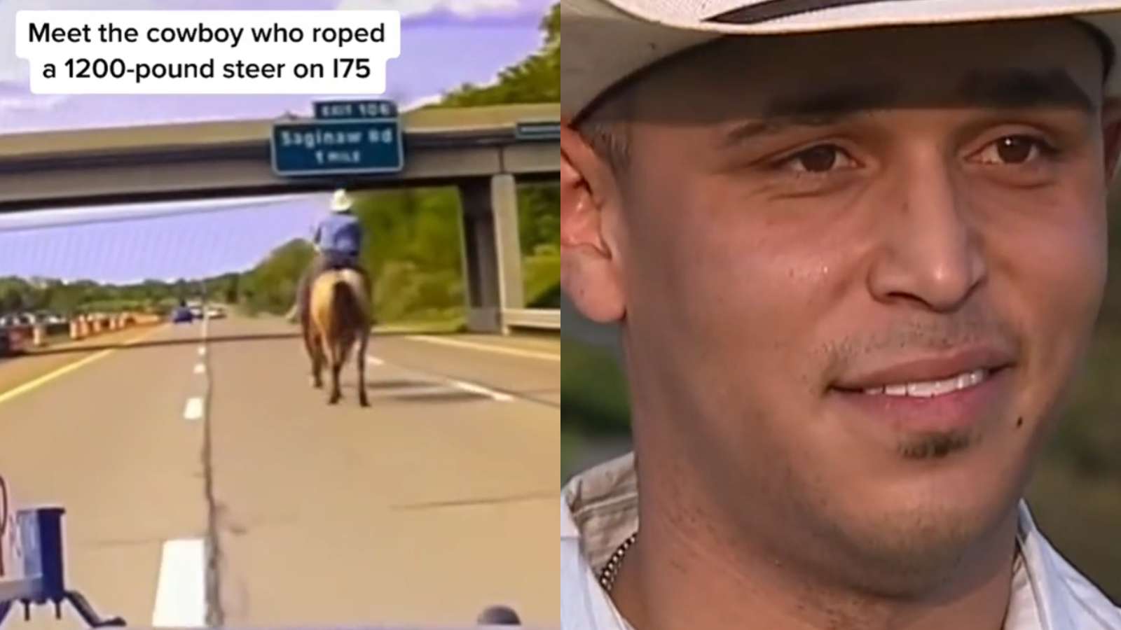 man who roped cow on highway