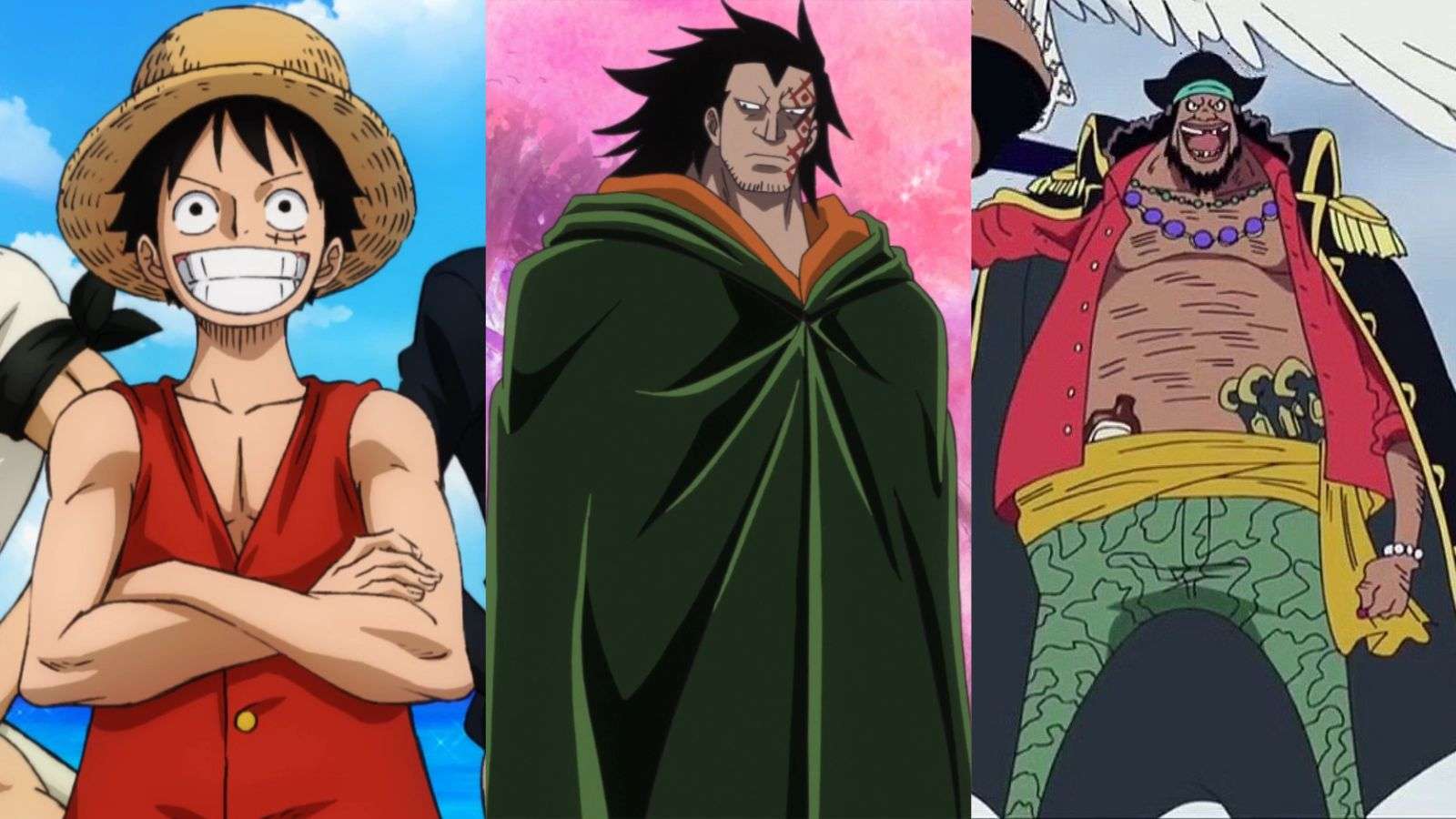 One Piece characters with the secret name D