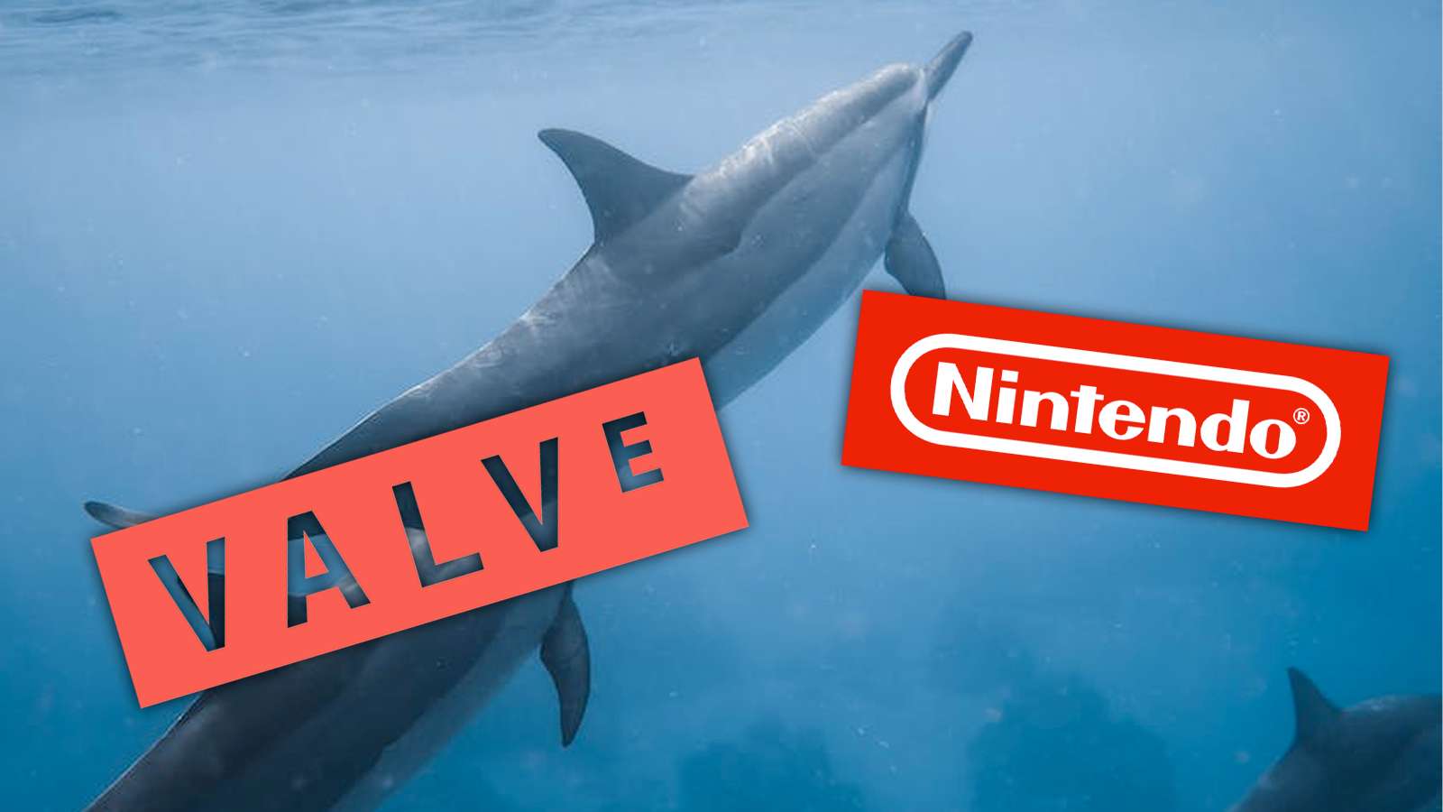 Valve Nintendo logos and a Dolphin