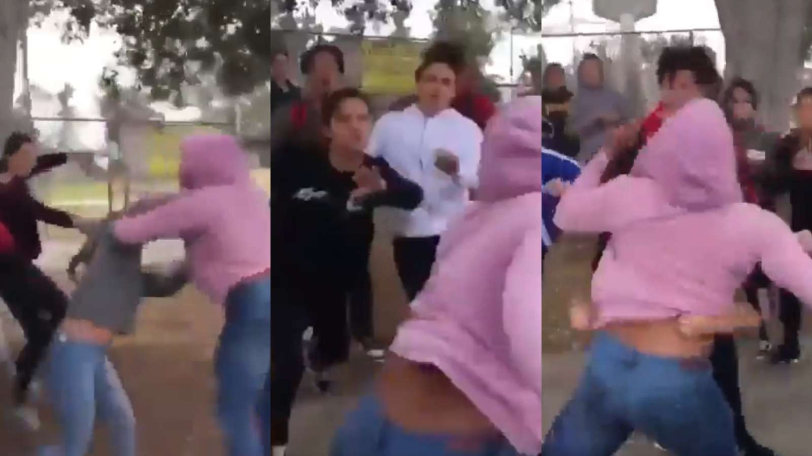 woman fights off twenty people