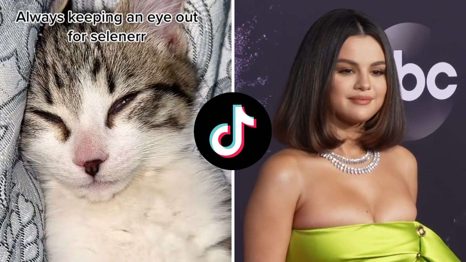 First photo shows a cat opening one eye, Second photo shows Selena Gomez.