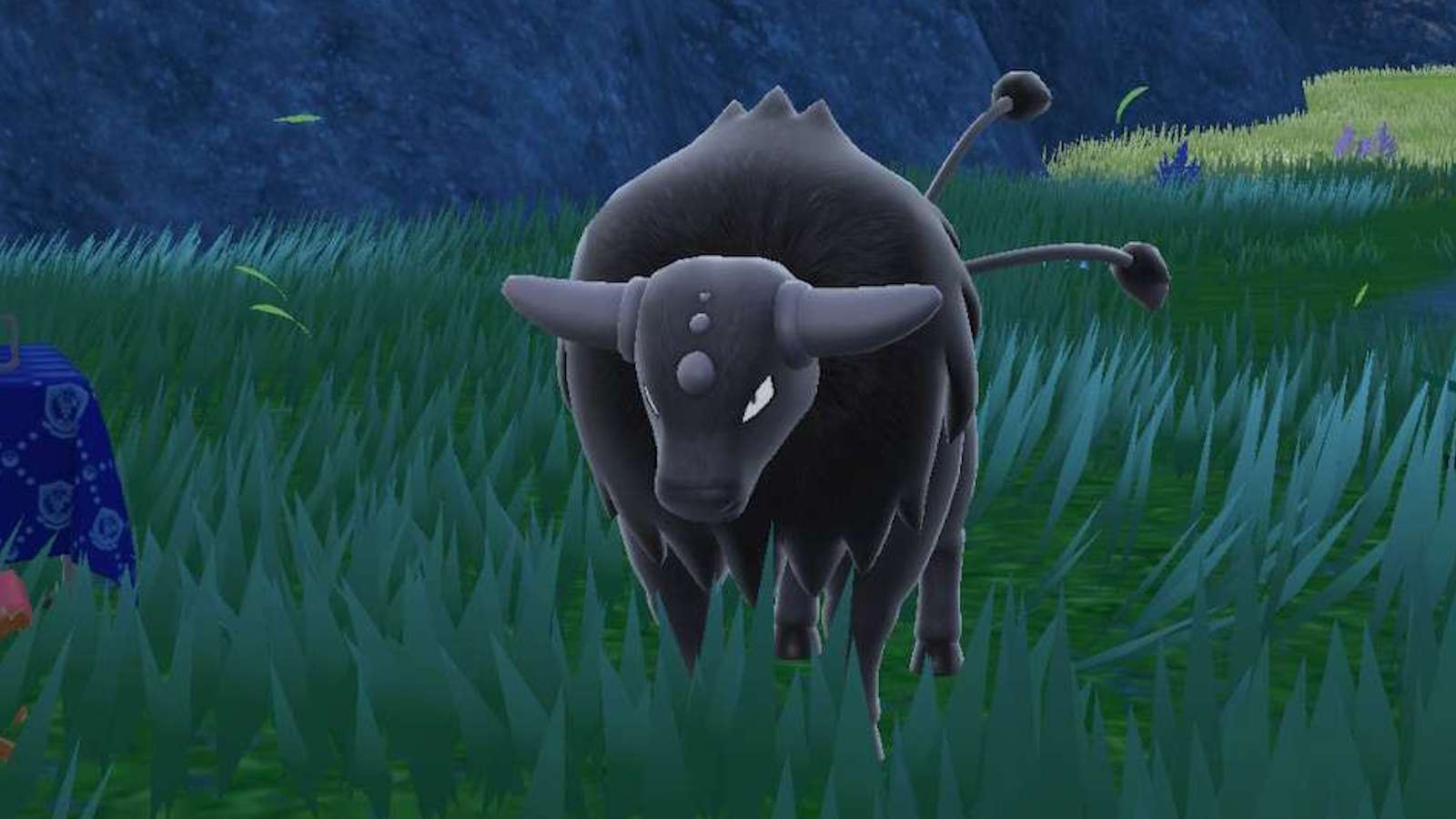 Paldean Tauros as seen during a picnic in Pokemon Scarlet & Violet.