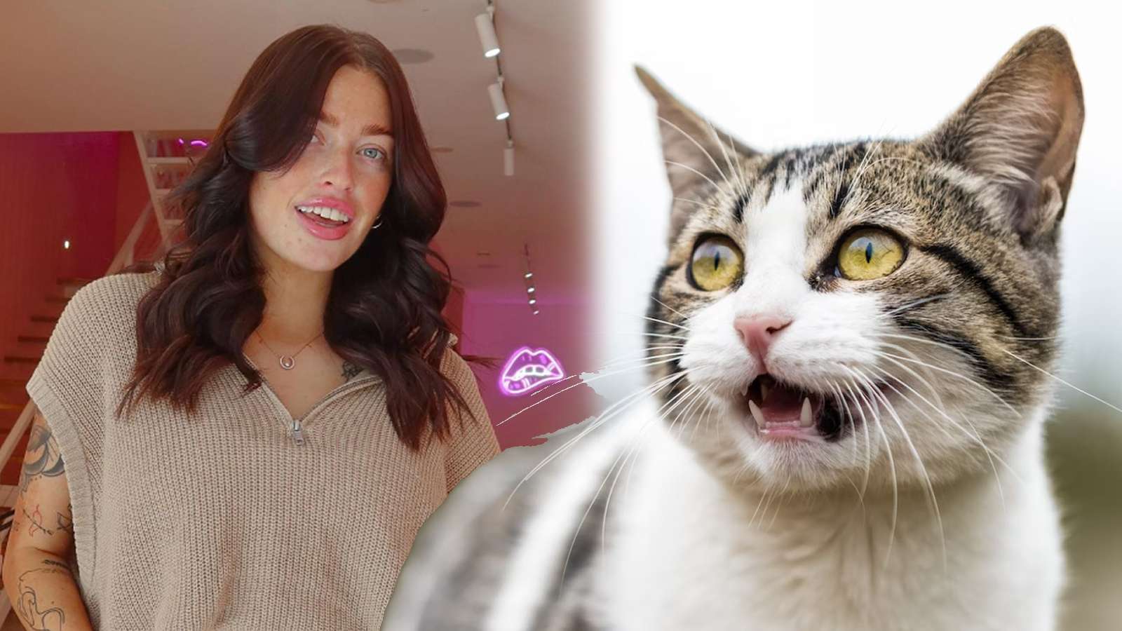 Aussie influencer quits social media due to backlash over killing two cats