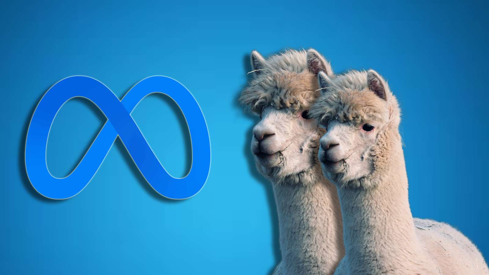 Two llamas and Meta Logo