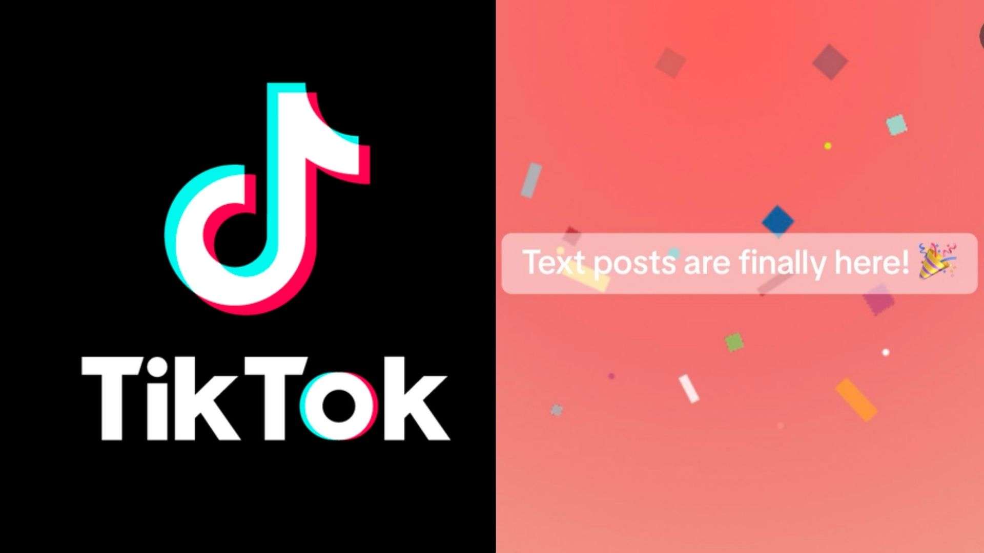 TikTok logo side-by-side with text logo