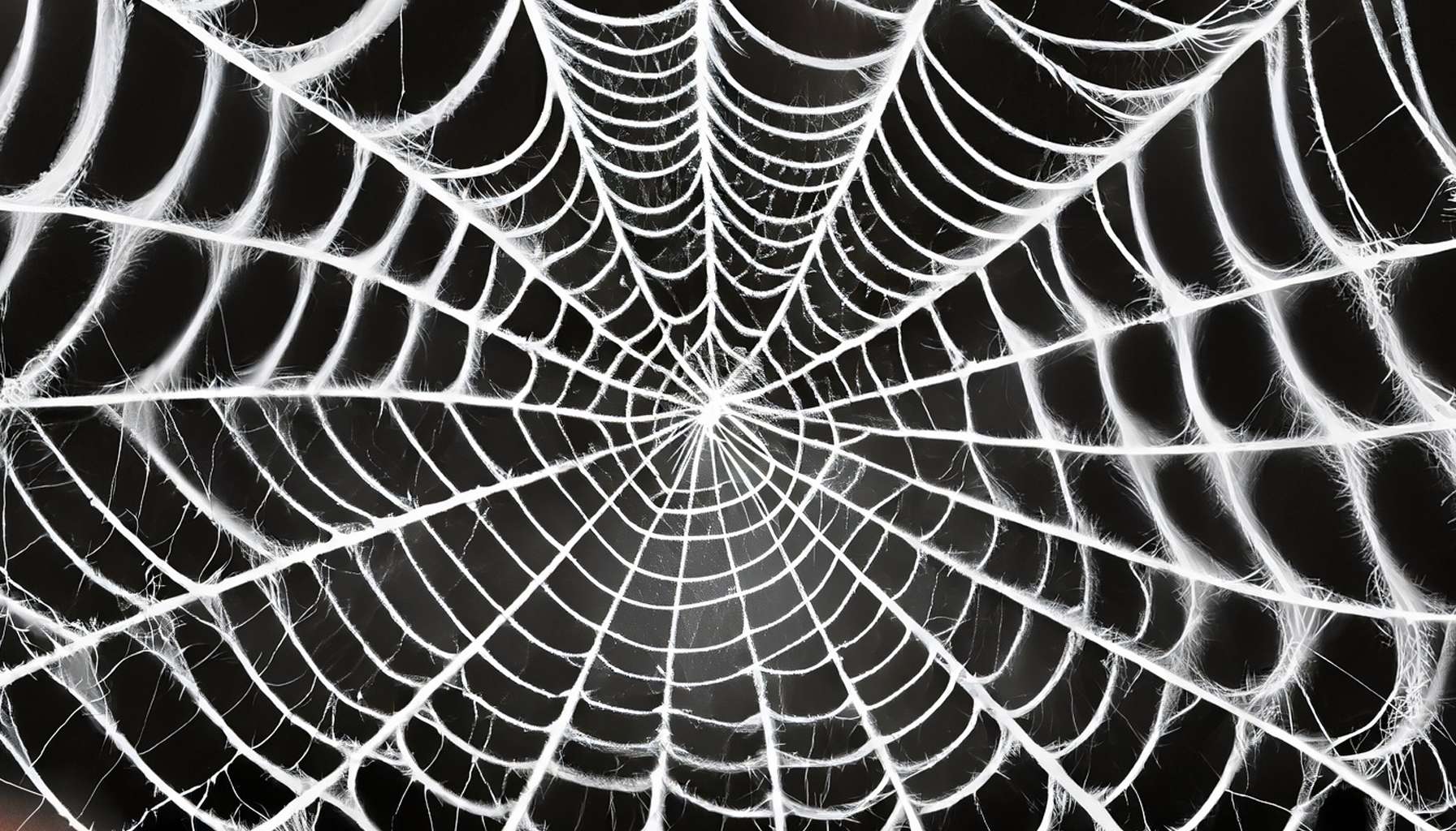a spider web made with ai to reprsent the dark web