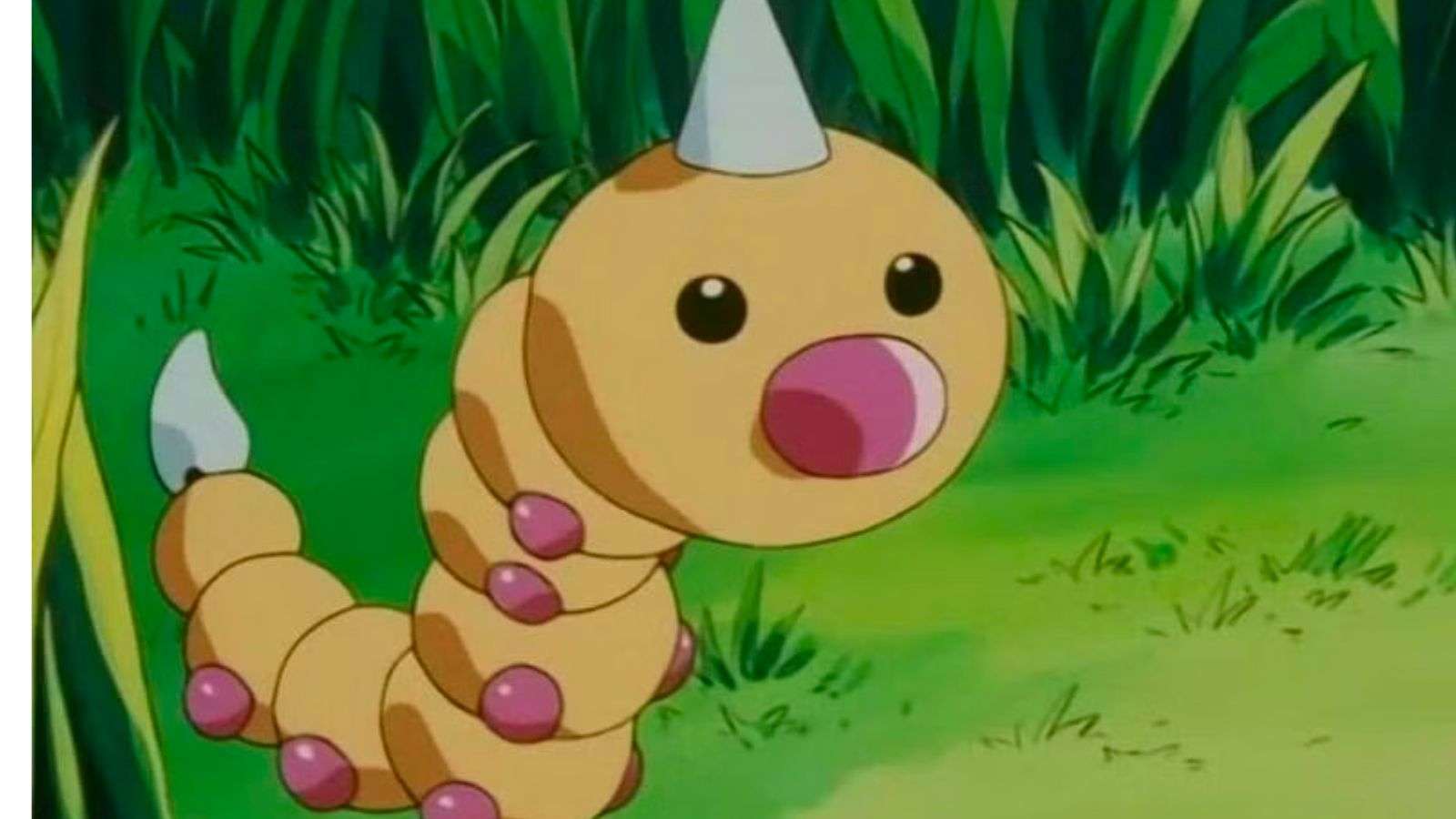A Weedle in Pokemon anime