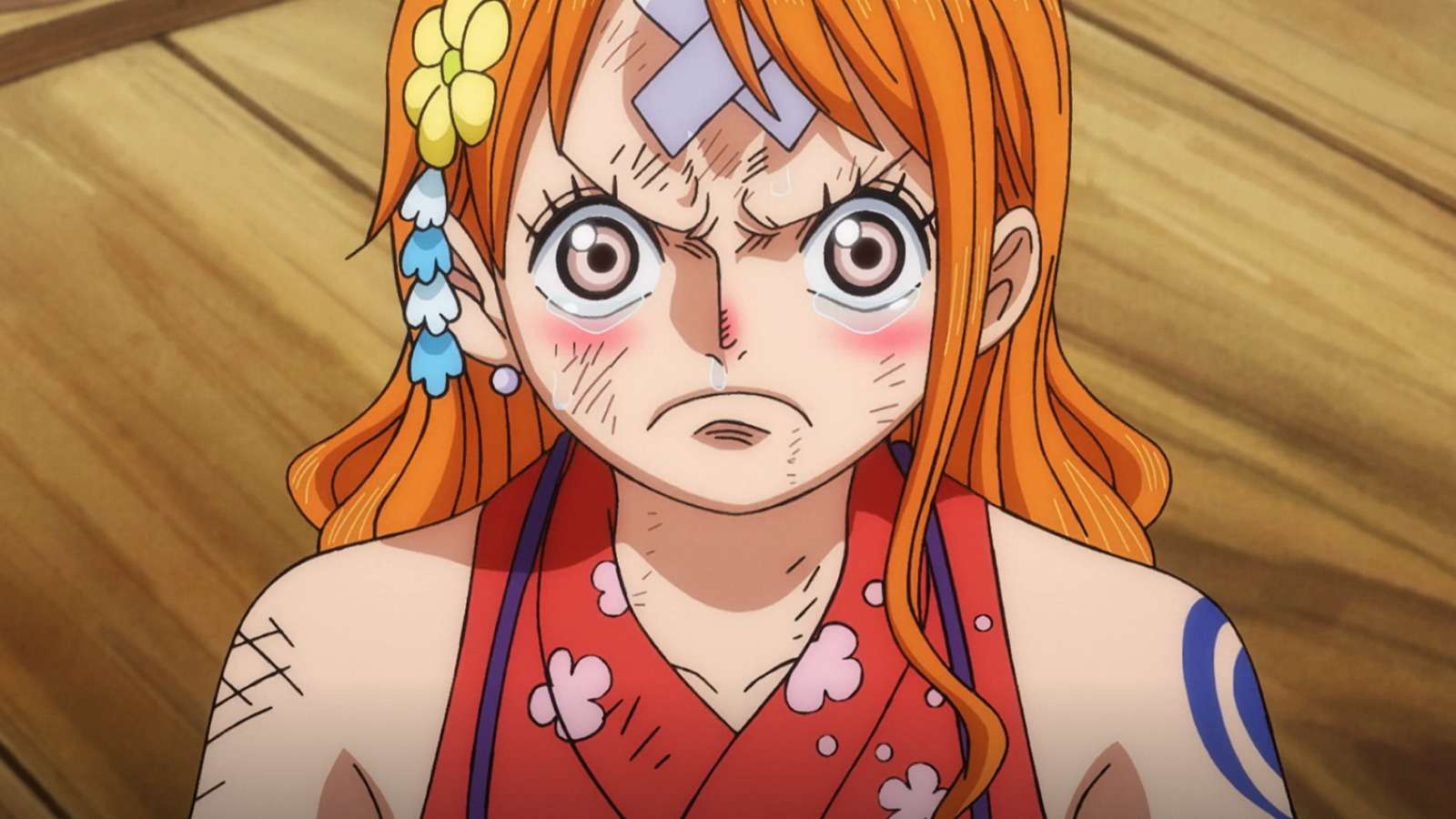 An image of Nami from One Piece Episode 1070