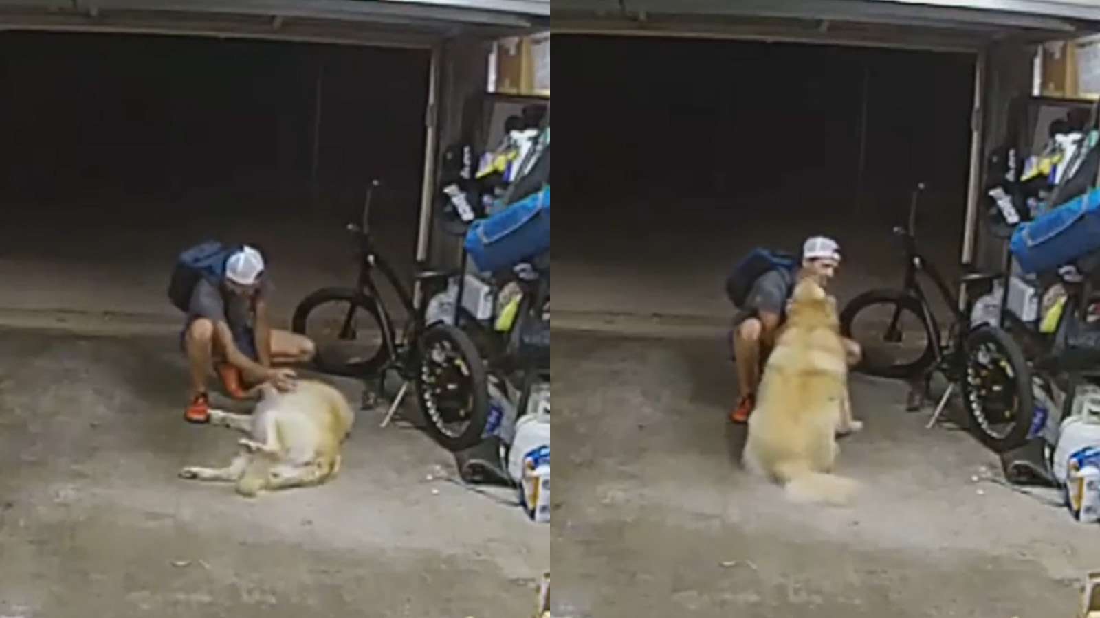 Man stealing bike stops to cuddle household dog