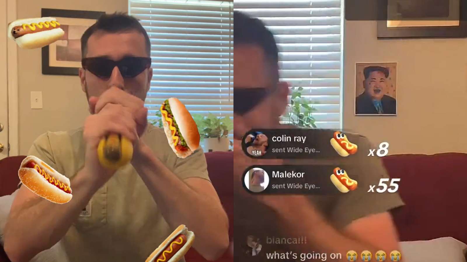 NPC TikToker breaks character after conquering hotdog gifts