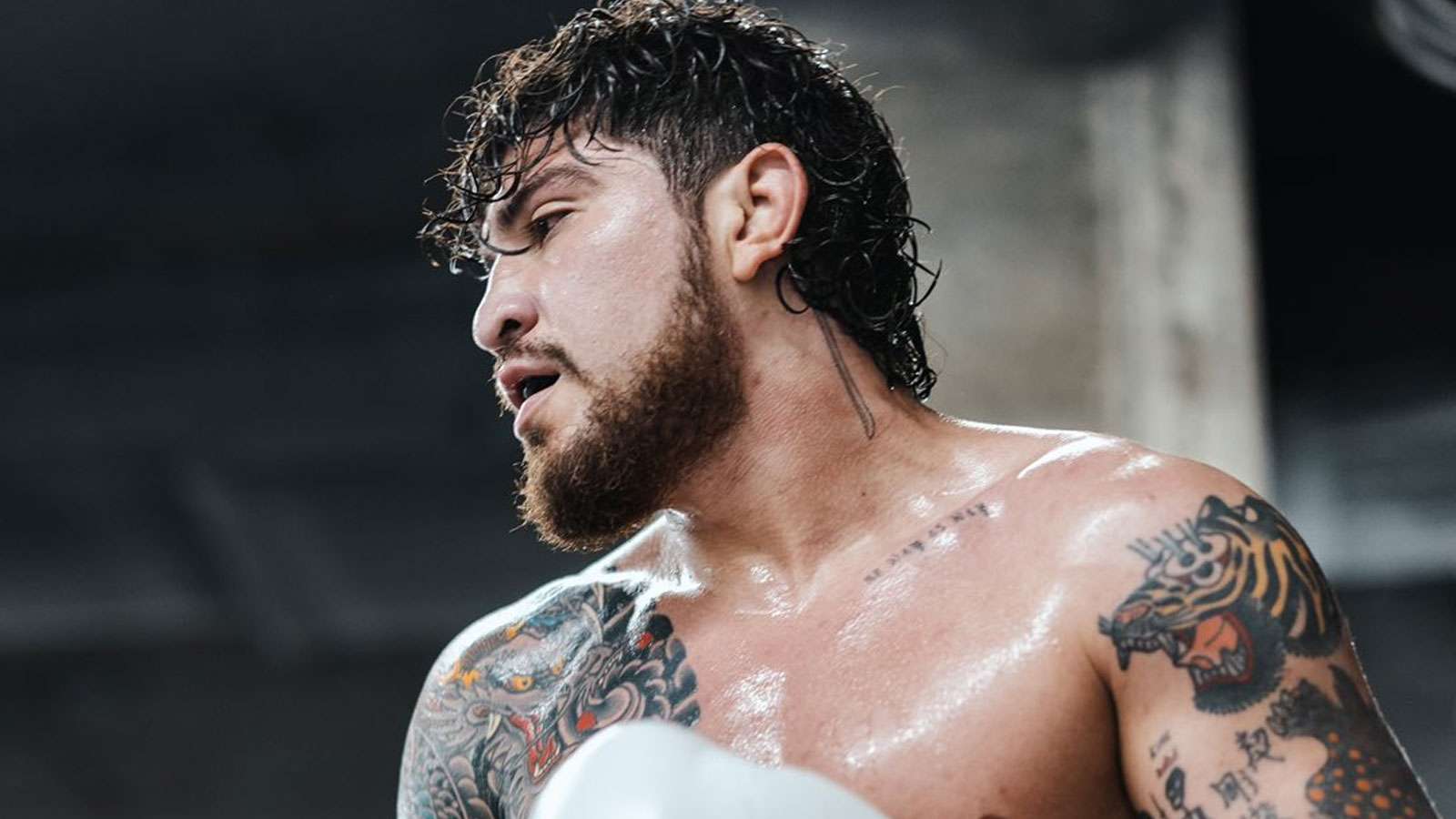 Dillon Danis training in gym wearing boxing gloves