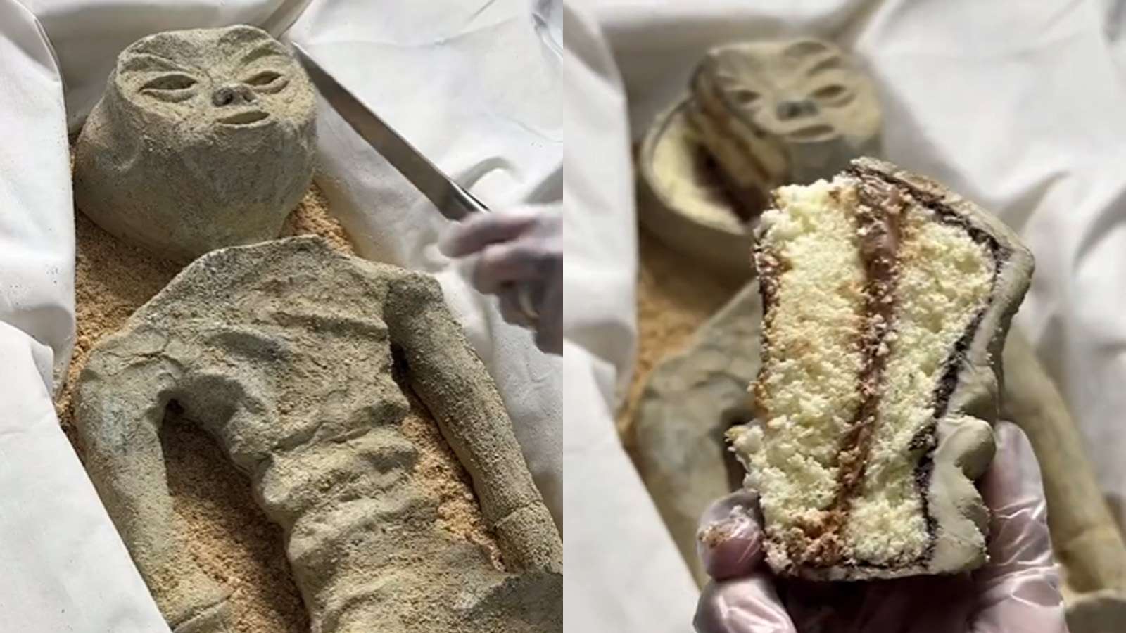 Viral alien corpse shown to Mexican government inspires cake remake