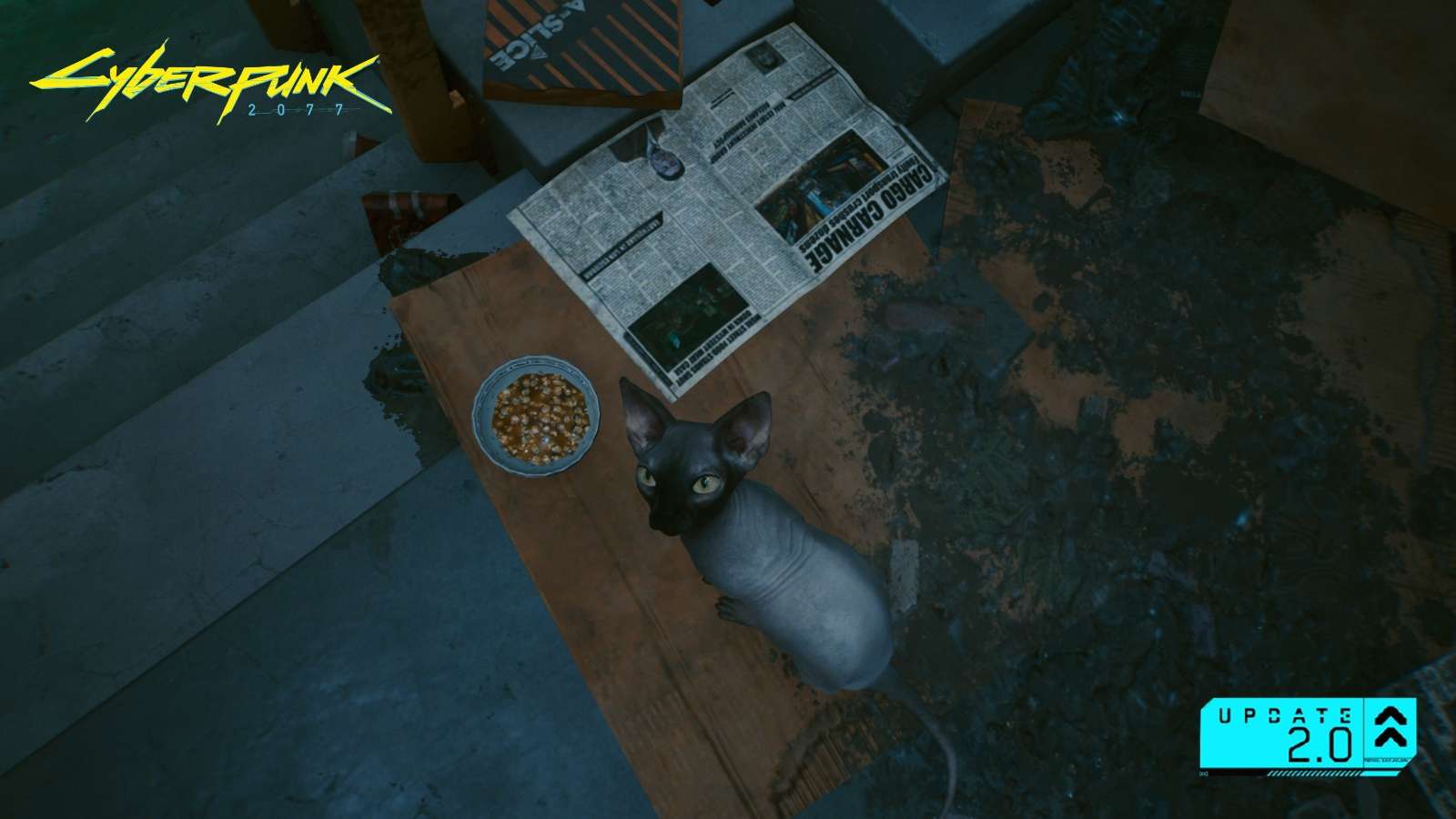 Brightman cat in Cyberpunk 2077