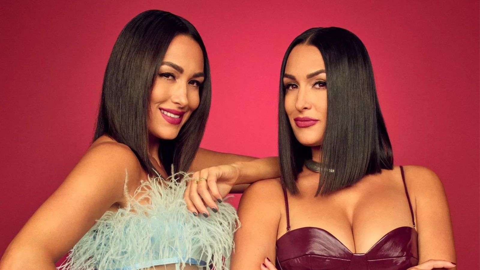 Nikki and Brie from Twin Love