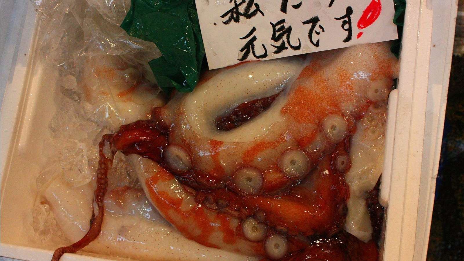 Image shows octopus tentacles in carton.