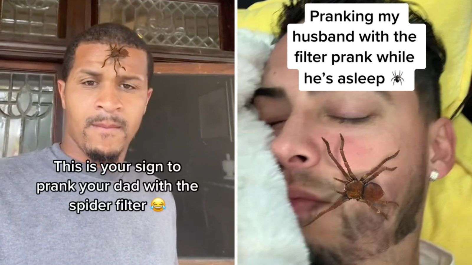 How to do the spider filter prank on TikTok