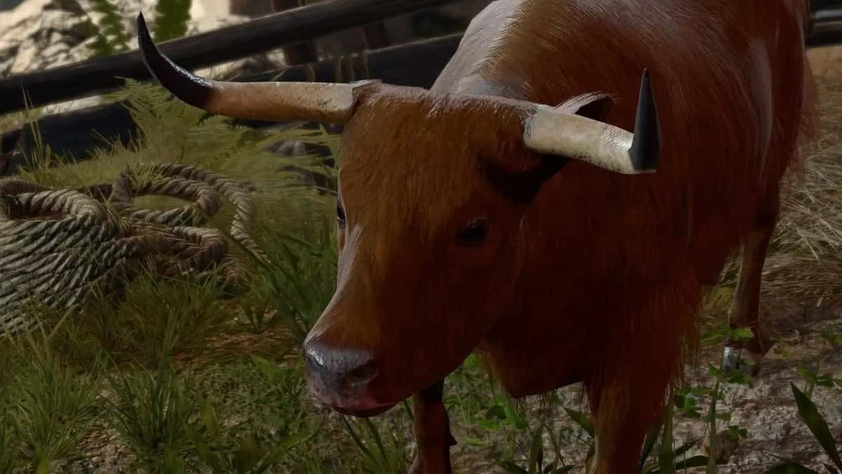 Strange Ox from Baldur's Gate 3