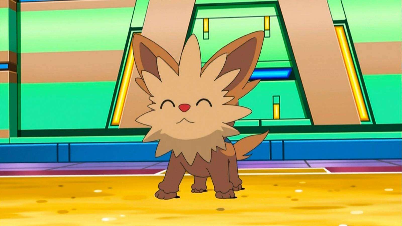 An animated scene shows the puppy Pokemon Lillipup standing in a battle arena, smiling sincerely
