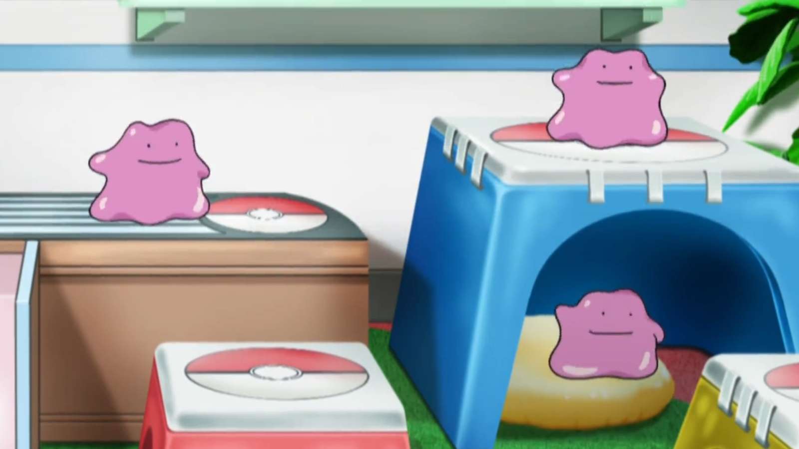 Three Ditto relaxing in pen in Pokemon Sun and Moon anime.