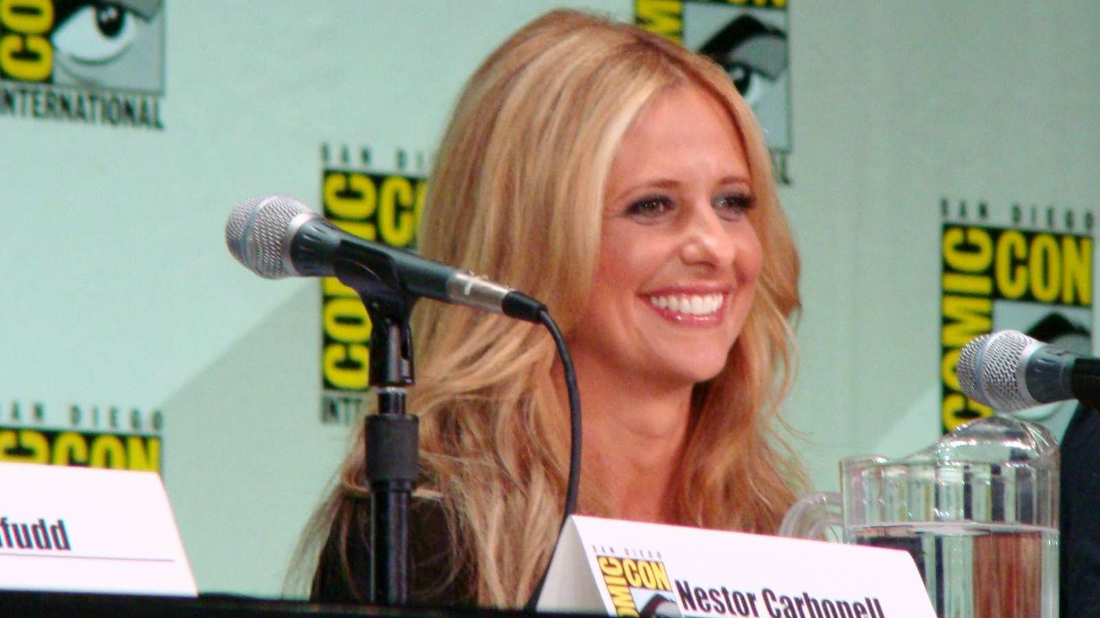 Sarah Michelle Gellar answering fan questions at a ComicCon panel