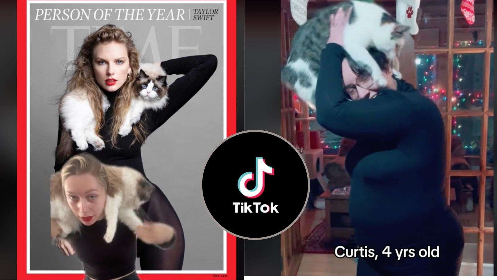 Taylor Swift person of the year TikTok cat challnge
