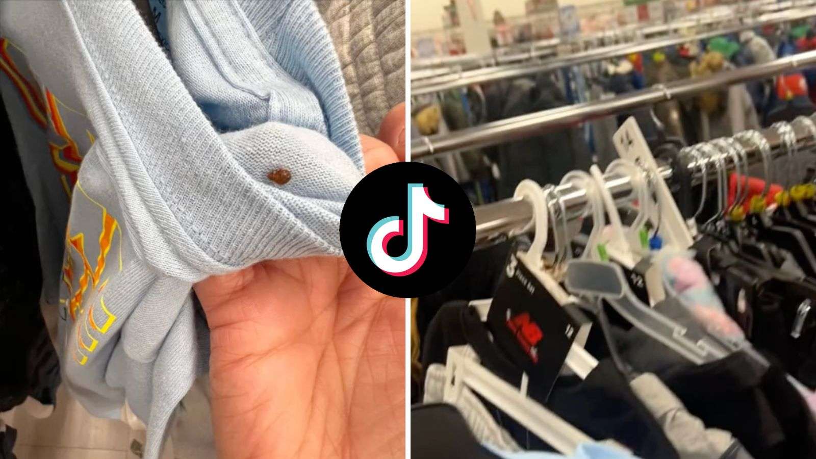 Burlington customer horrified after finding bed bugs on clothes