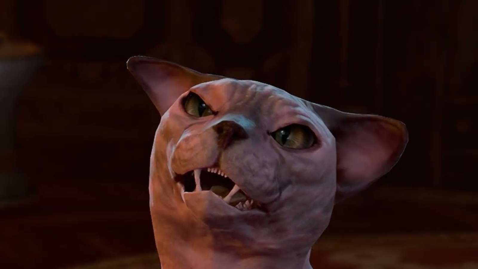 His Majesty the cat looking angry in Baldur's Gate 3