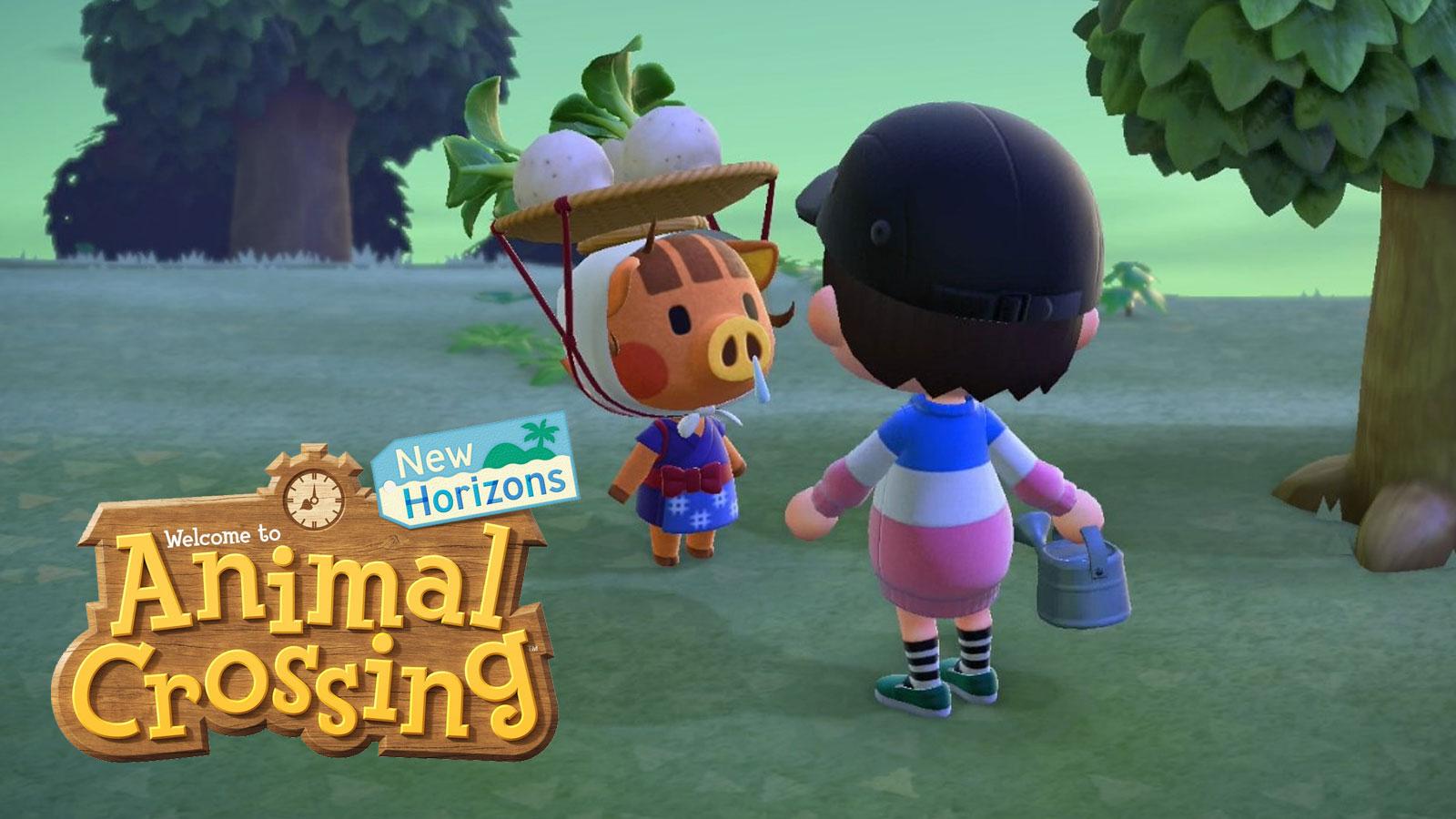Best way to make millions from turnips in Animal Crossing: New Horizons -  Dexerto