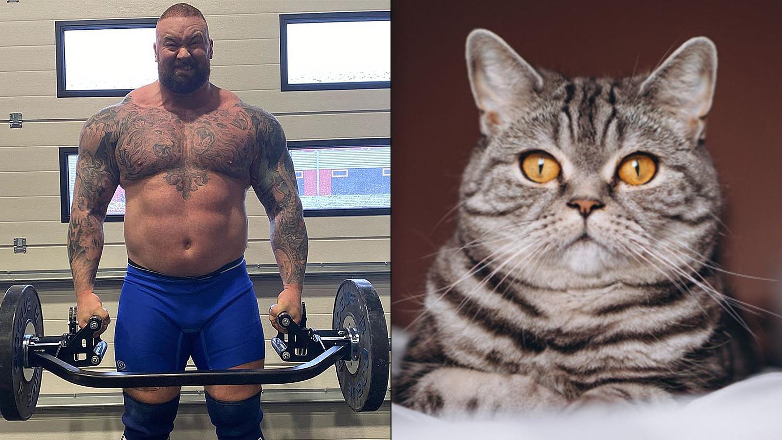 The Mountain thanks Twitch chat for saving his cat