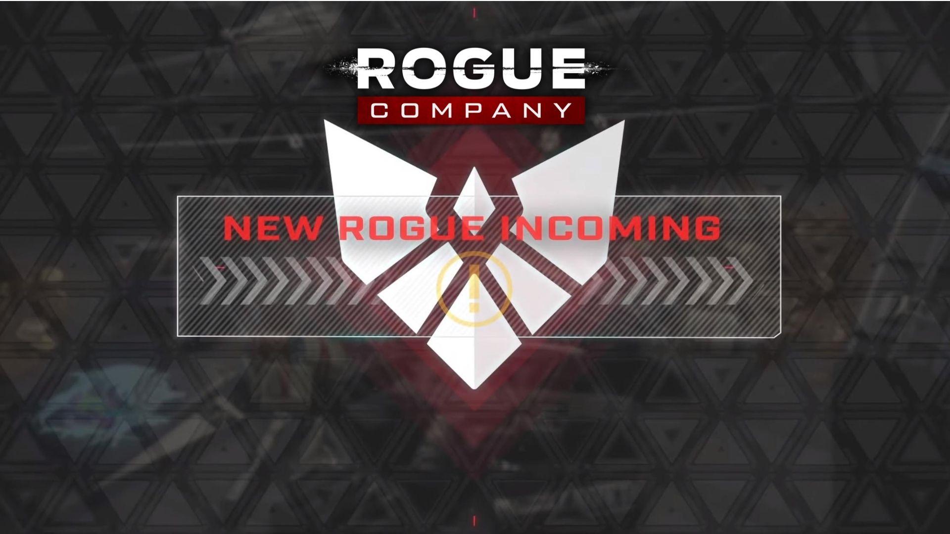 Rogue Company features
