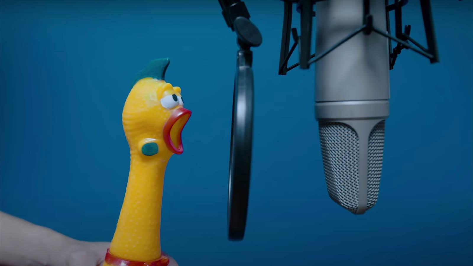 Rubber chicken singing cover