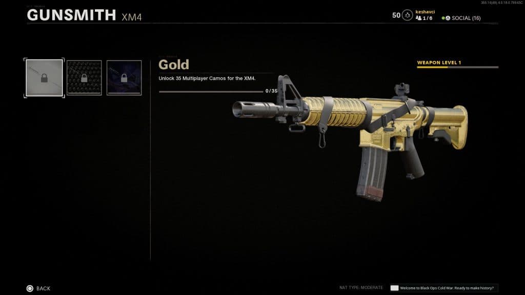 Call of Duty: Black Ops Cold War Weapon Camo
