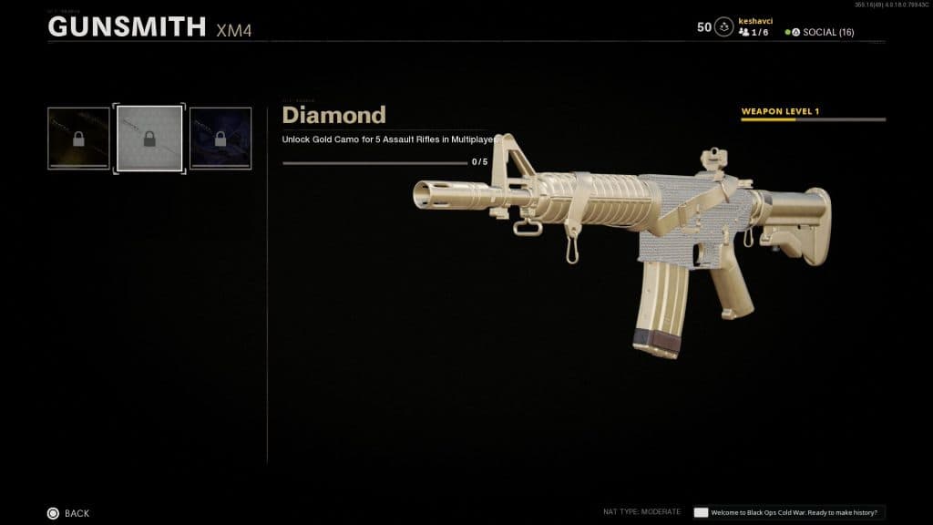 Call of Duty: Black Ops Cold War Weapon Camo