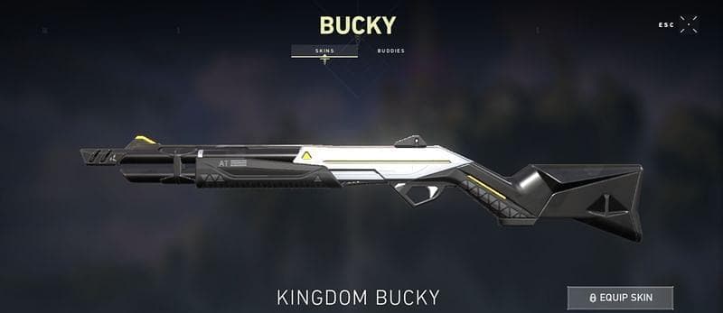 Kingdom Bucky Valorant