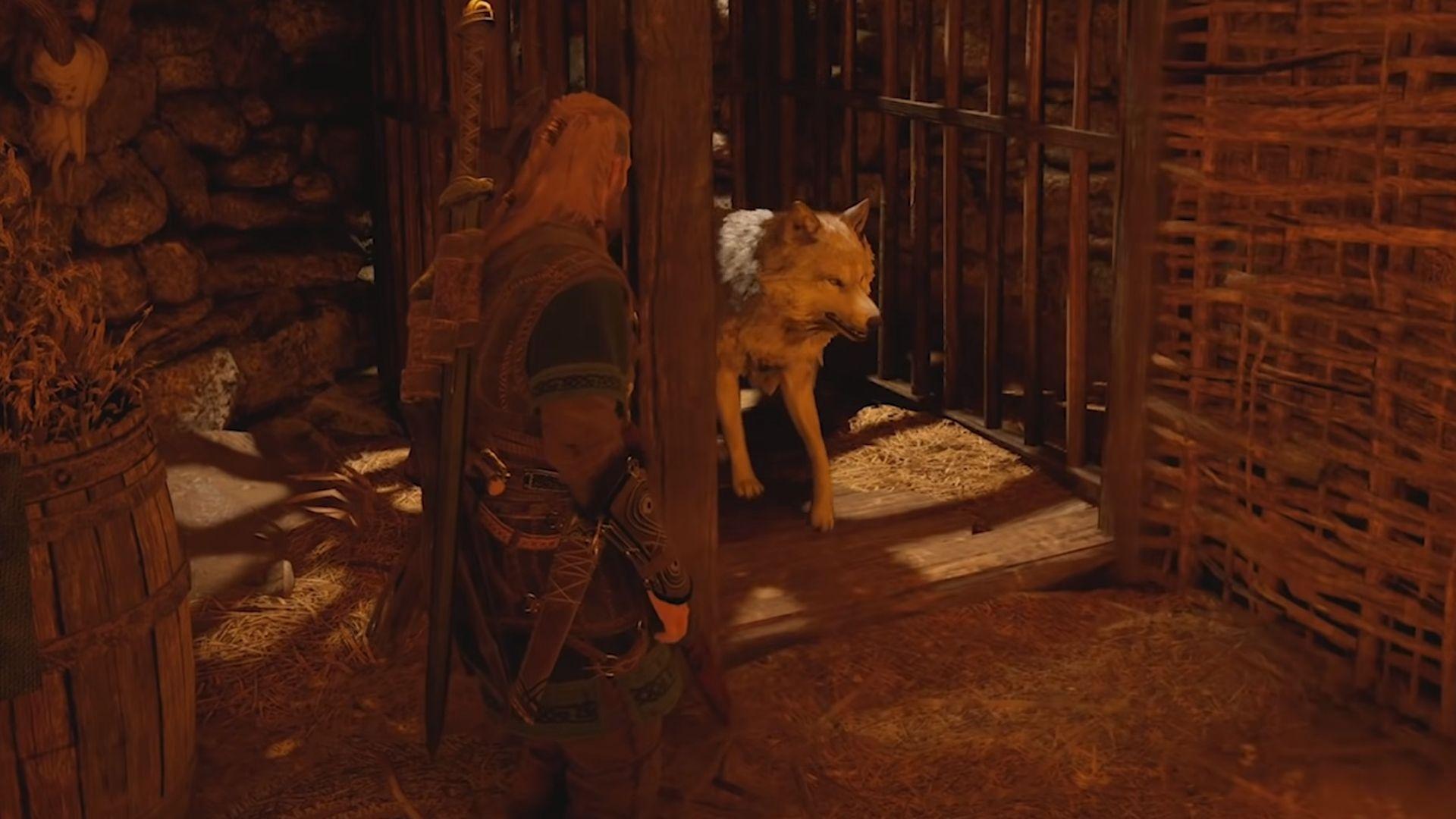 Assassin's Creed Valhalla wolf