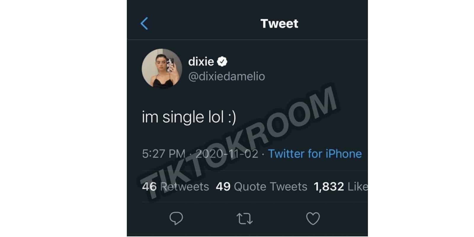 Dixie DAmelion tweets