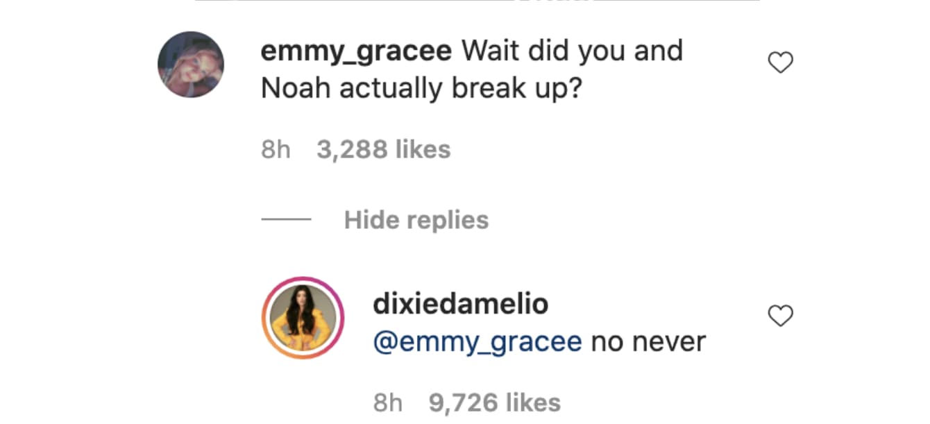 Dixie D'Amelio responds on Instagram