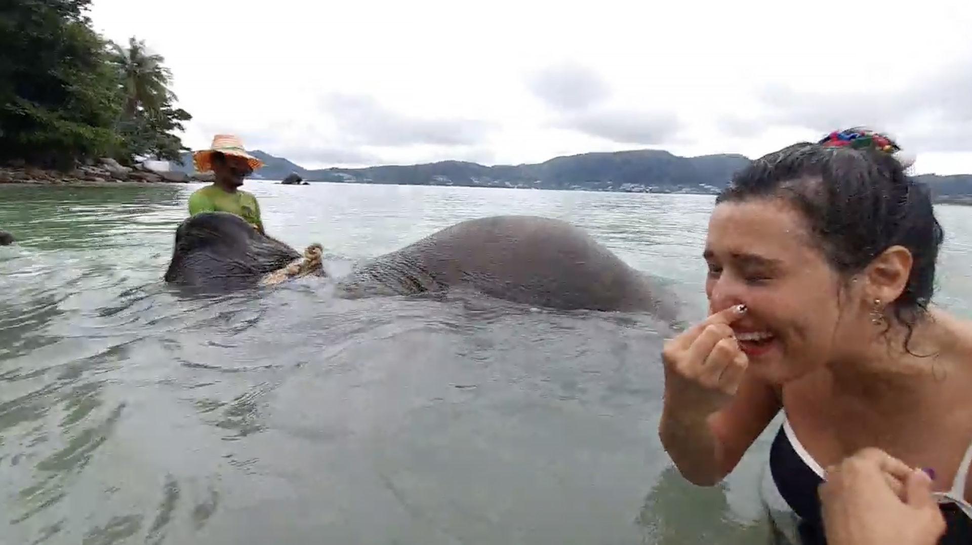 IRL Twitch streamer holds nose next to elephant in Phuket Thailand. 
