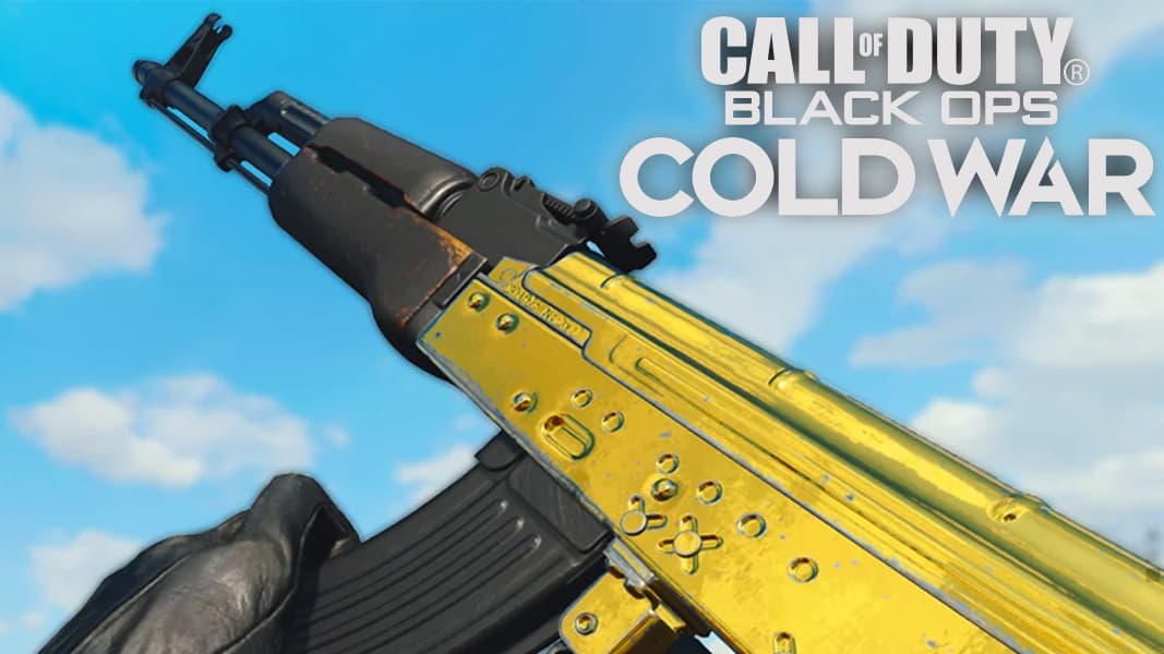AK-47 in BOCW with gold camo