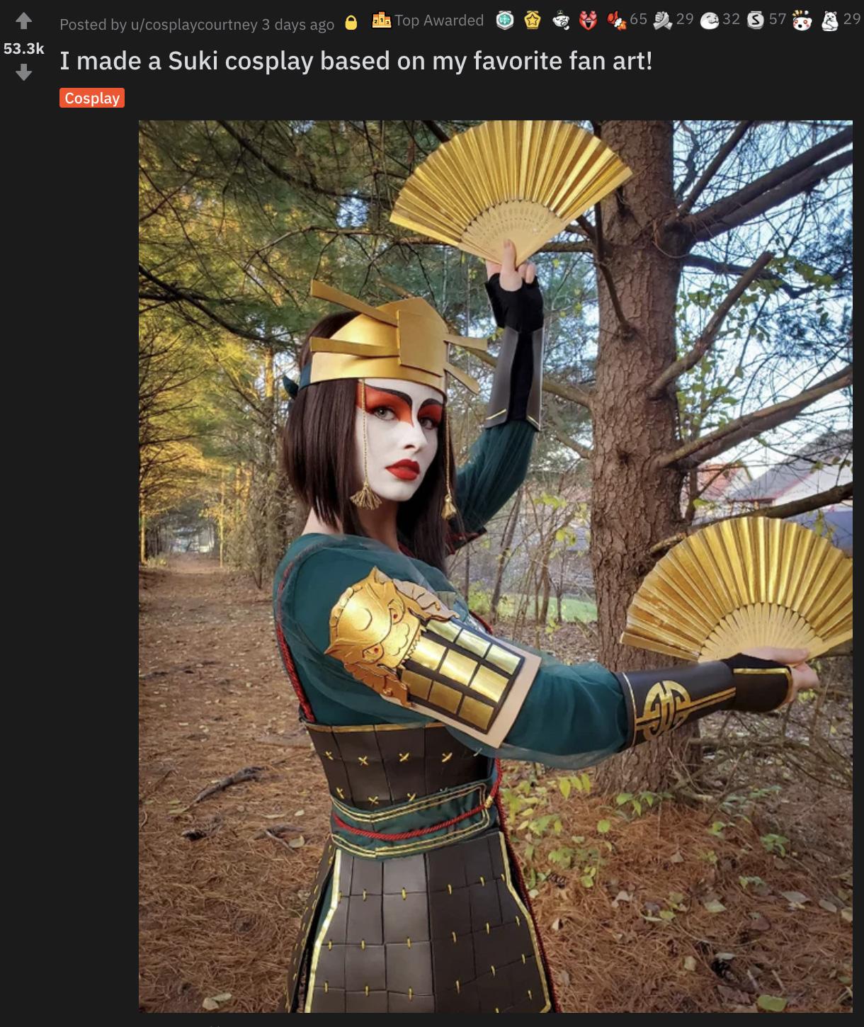 Screenshot of viral Avatar: The Last Airbender Suki cosplay on Reddit.