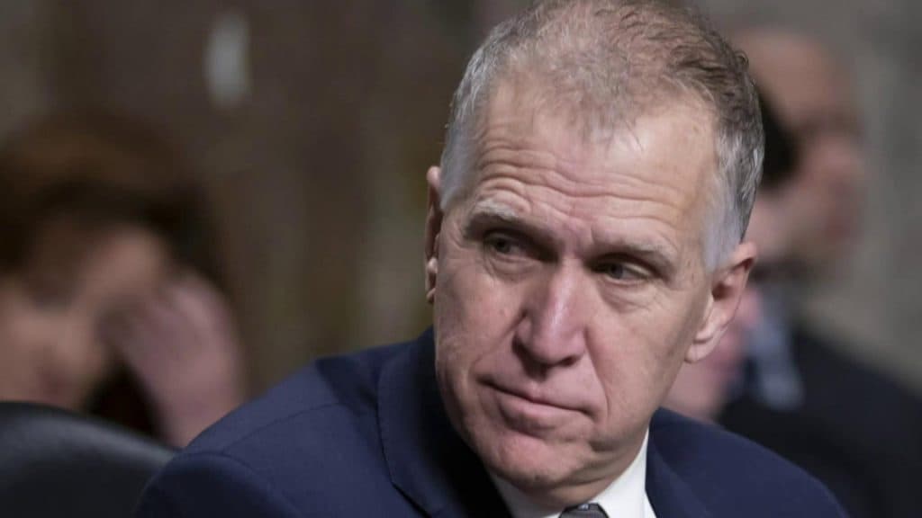 Senator Thom Tillis is leading the controversial felony streaming proposal.