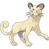 Persian Cat Pokemon