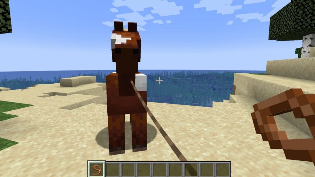 Minecraft Horse and Lead