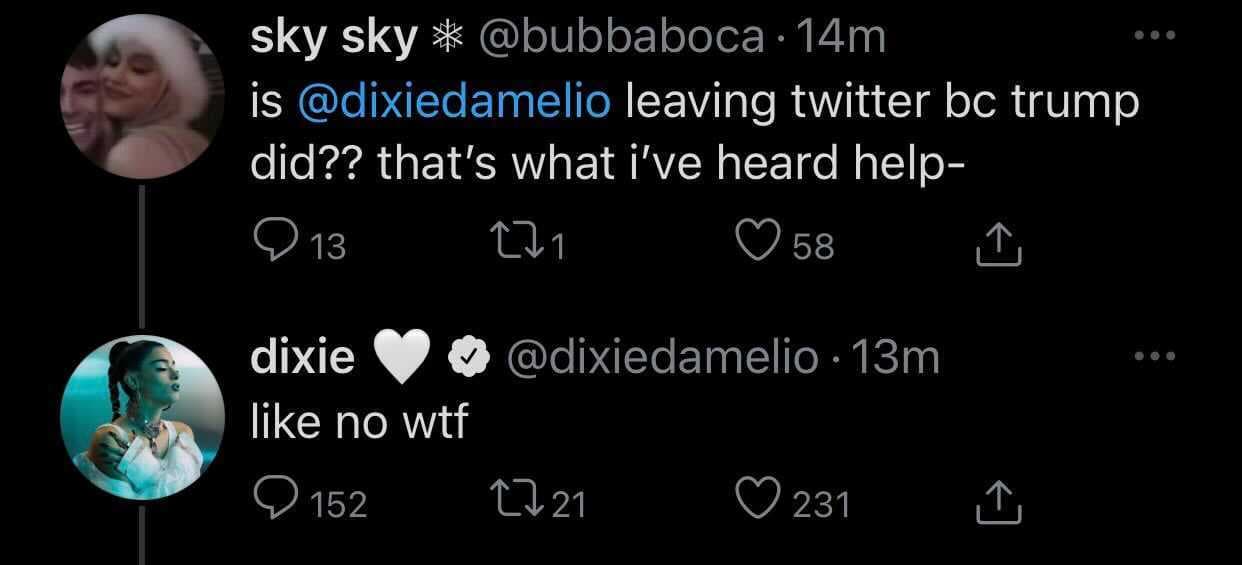 Dixie D'Amelio denies leaving Twitter due to Trump's suspension.